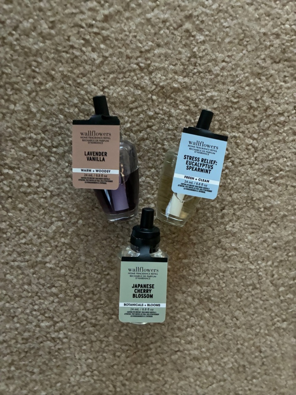Three Wallflowers Refills